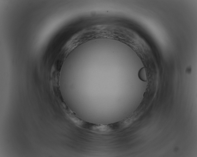 X0000096700431200802121207