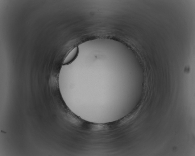 X0000096700432200802121207