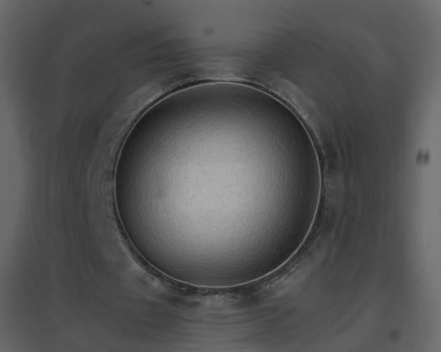 X0000096700433200802121206