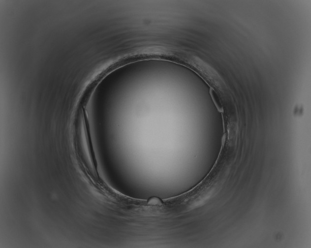 X0000096700436200802121206