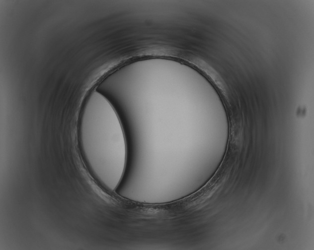 X0000096700437200802121206