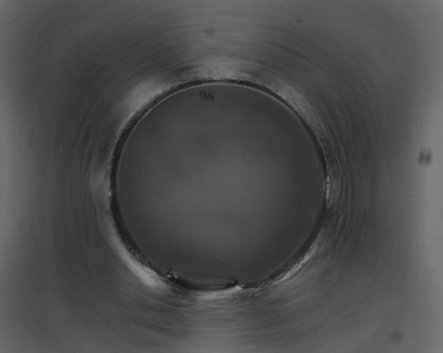X0000096700438200802121206