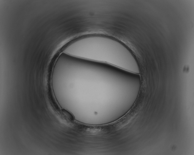 X0000096700440200802121206