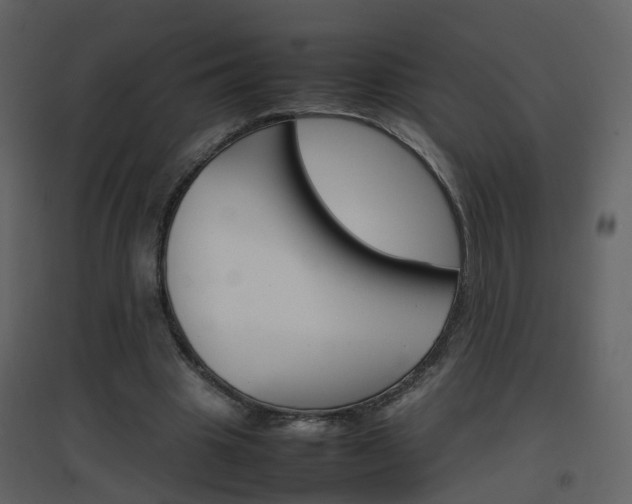 X0000096700441200802121206