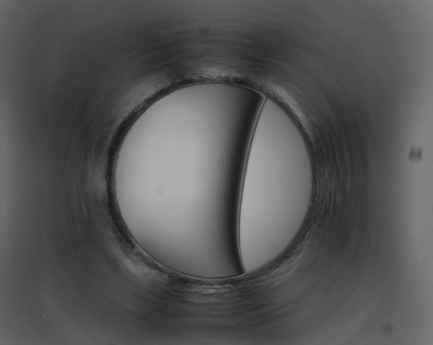 X0000096700443200802121206