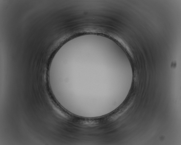 X0000096700445200802121206