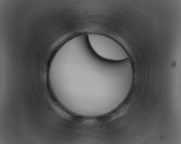 X0000096700446200802121206