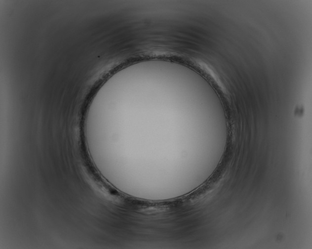X0000096700447200802121206