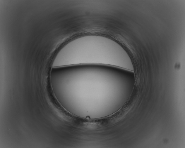 X0000096700448200802121206