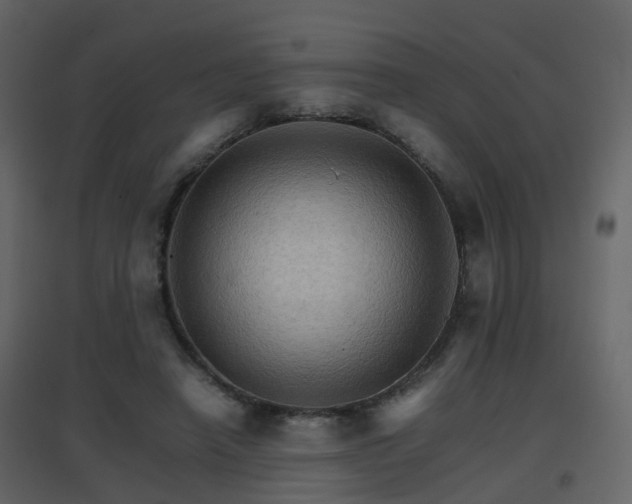 X0000096700450200802121206