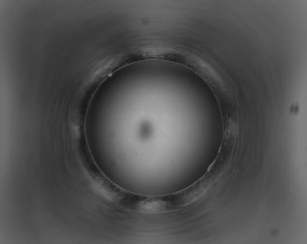 X0000096700452200802121206