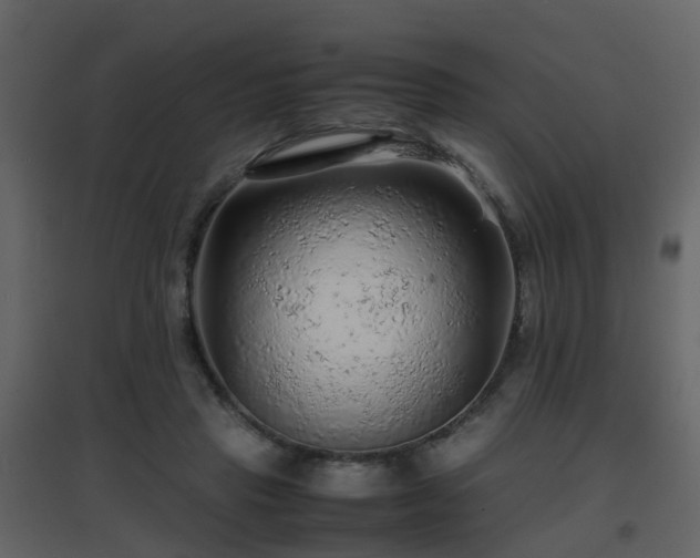 X0000096700453200802121206
