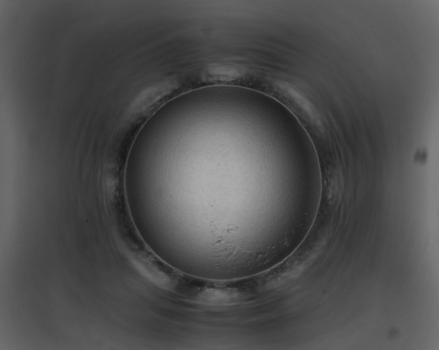 X0000096700455200802121206
