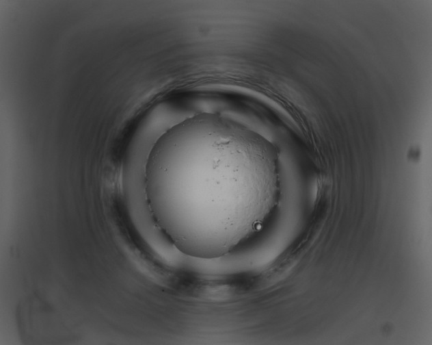 X0000096700456200802121206