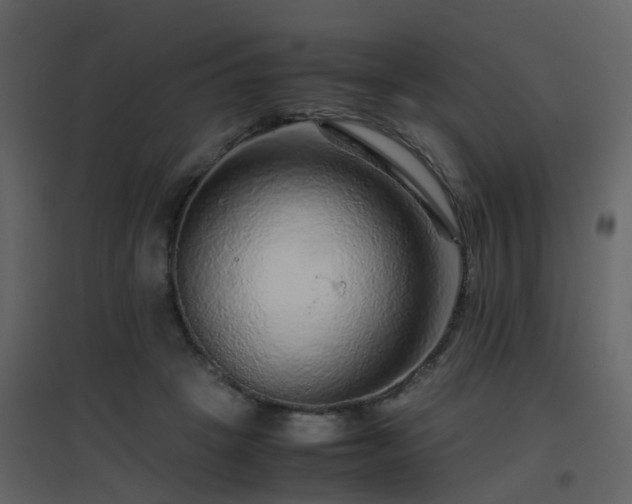 X0000096700457200802121206