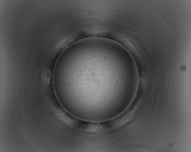 X0000096700458200802121206