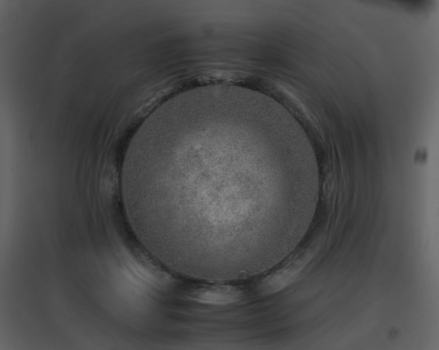 X0000096700459200802121206
