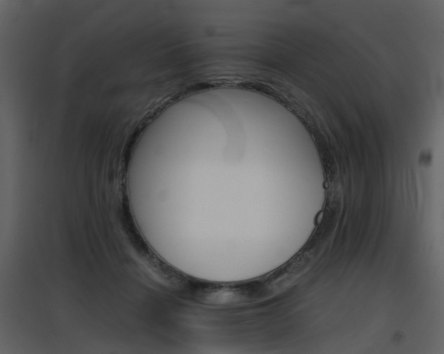 X0000096700460200802121206
