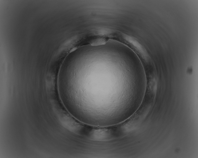 X0000096700461200802121206