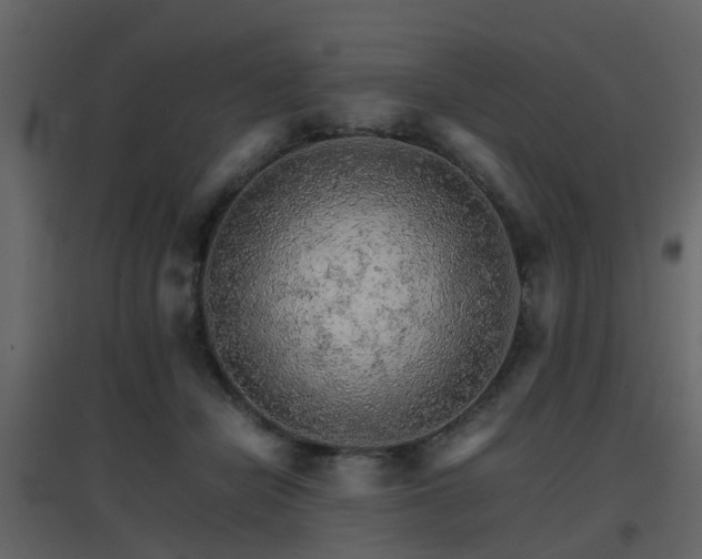 X0000096700462200802121206