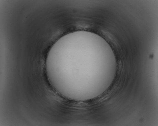X0000096700463200802121206