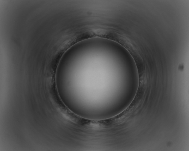 X0000096700464200802121206