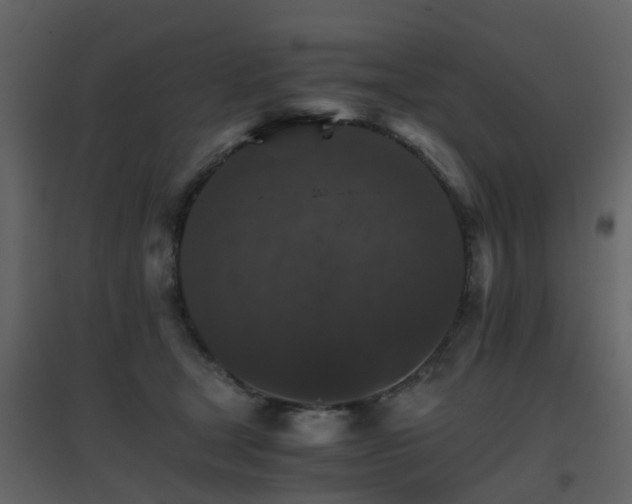 X0000096700465200802121206