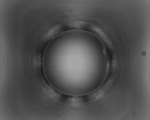 X0000096700466200802121206