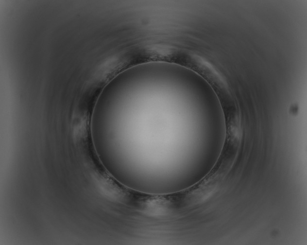 X0000096700468200802121206