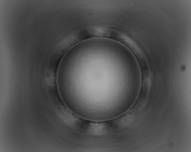 X0000096700469200802121207