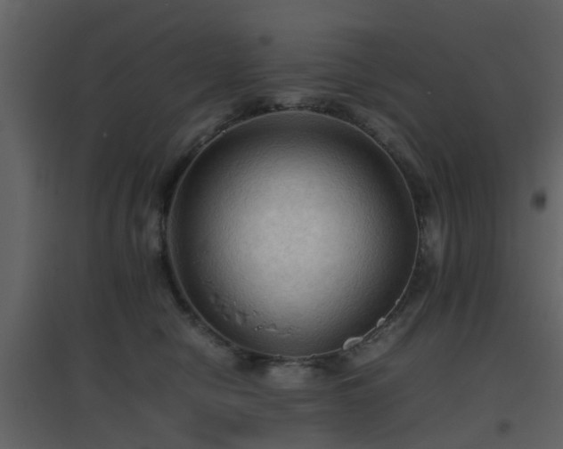 X0000096700470200802121207