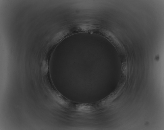 X0000096700471200802121207