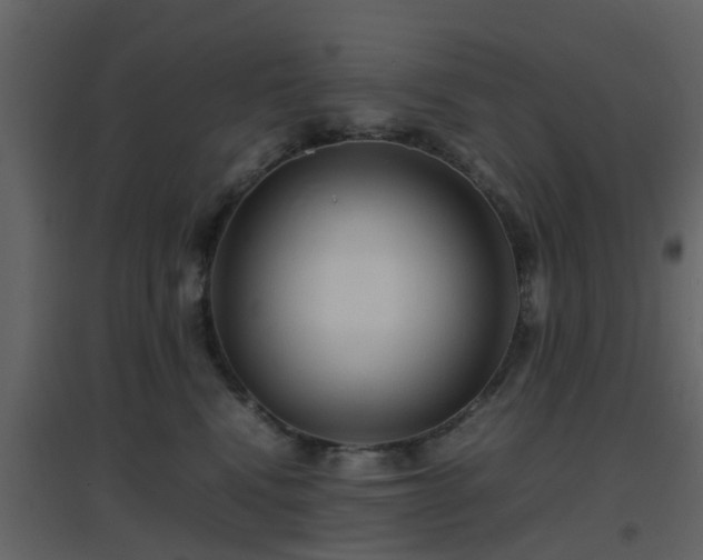 X0000096700472200802121207