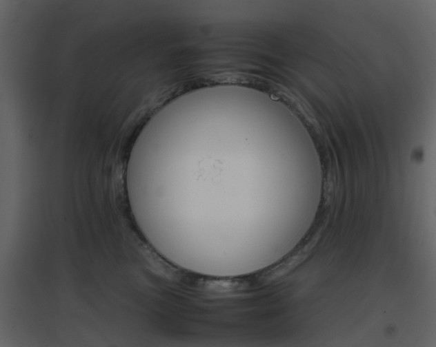 X0000096700473200802121207