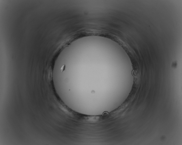 X0000096700474200802121207