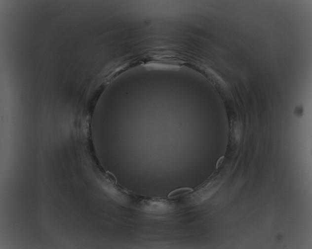 X0000096700475200802121207