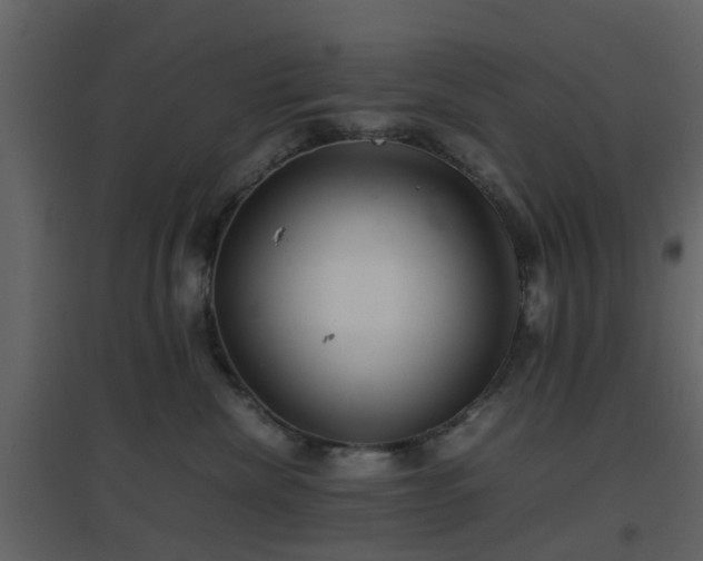 X0000096700476200802121207
