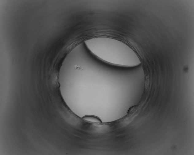 X0000096700477200802121207