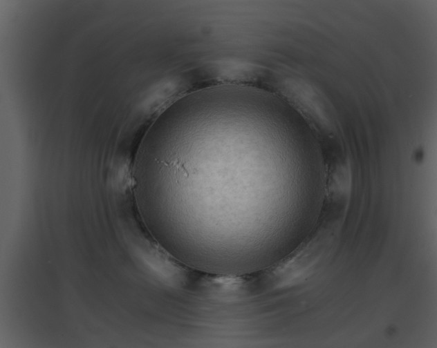 X0000096700478200802121207