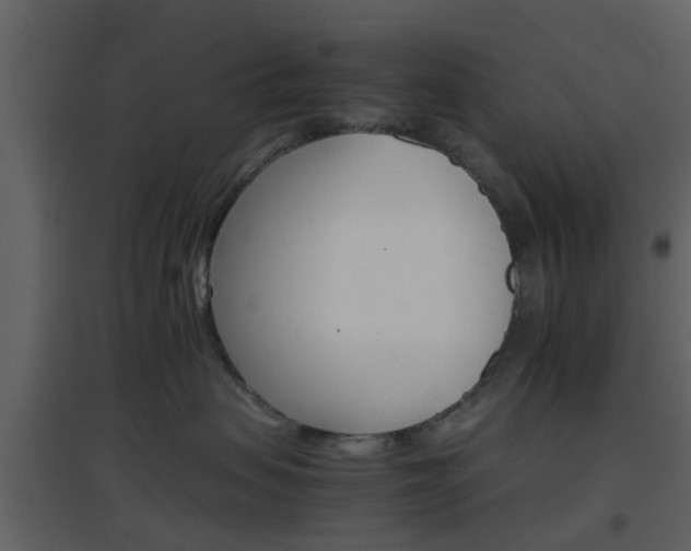 X0000096700479200802121207