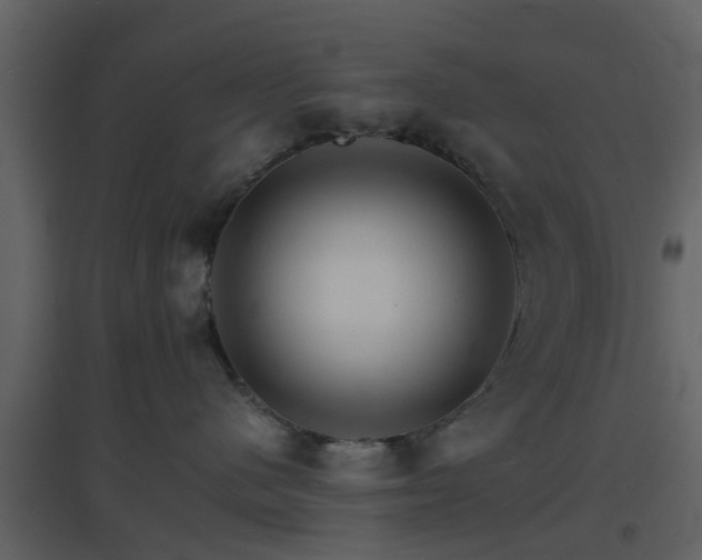 X0000096700480200802121207