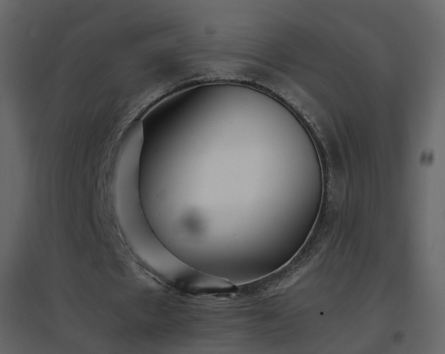X0000096700481200802121206