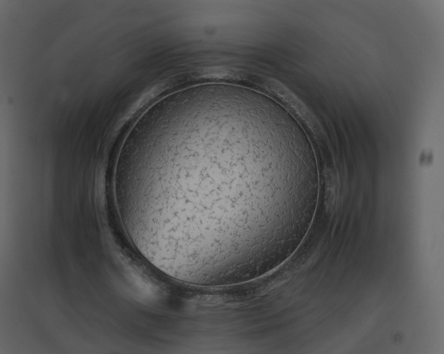 X0000096700482200802121206