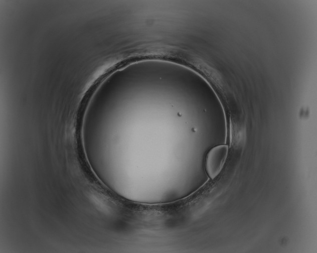 X0000096700483200802121206