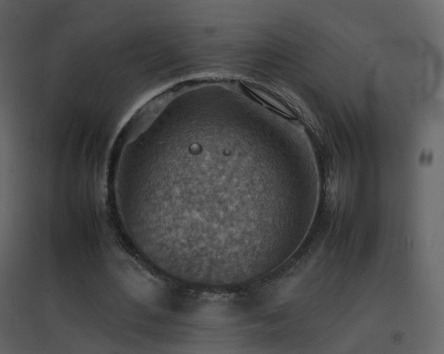 X0000096700484200802121206