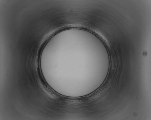 X0000096700486200802121206