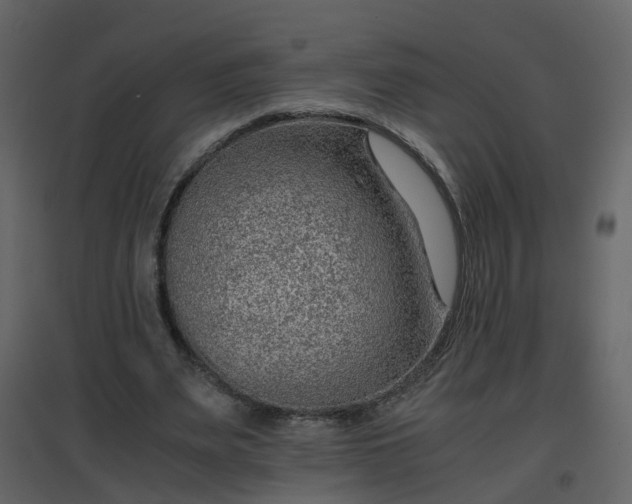 X0000096700487200802121206