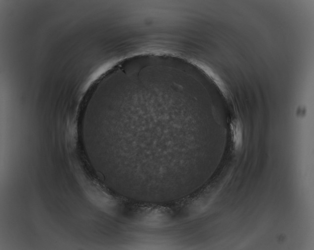 X0000096700488200802121206