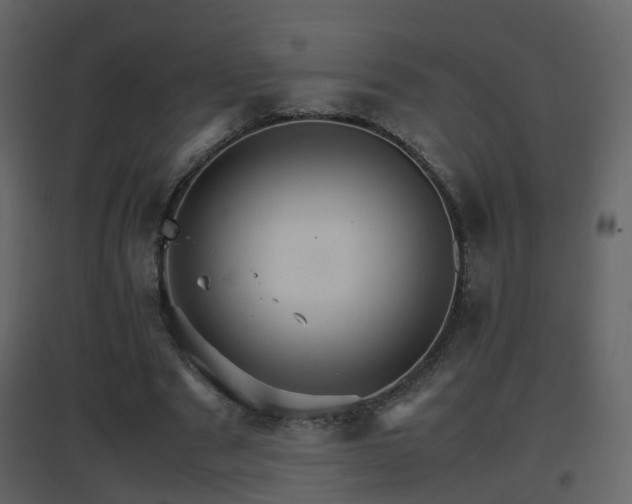 X0000096700489200802121206