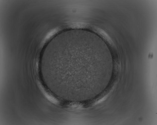 X0000096700491200802121206